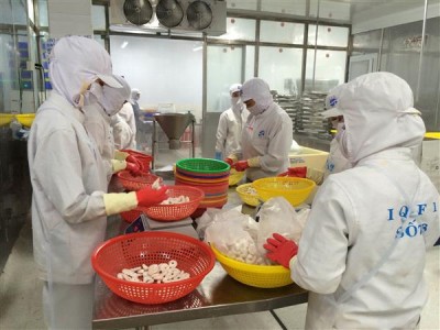 Hiện Hàn Quốc đã công nhận 6 trung tâm của Việt Nam đủ tiêu chuẩn kiểm định chất lượng hàng thủy sản xuất khẩu sang Hàn Quốc. Ảnh: Nguyễn Huế.