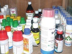 Viêt Nam mua thuốc trừ sâu Trung Quốc nhiều nhất