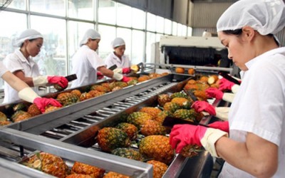 Xuất khẩu rau quả Việt Nam sang UAE đạt 22,8 triệu USD năm 2016