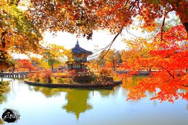 Thúc đẩy quan hệ thương mại, đầu tư Việt Nam - Hàn Quốc
