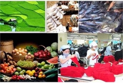 Kim ngạch xuất nhập khẩu giữa Việt Nam - EU 5 tháng tăng trưởng 16,2%