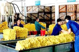 Giá trị xuất khẩu cao su 6 tháng đầu năm tăng gần 60% cùng kỳ năm 2016