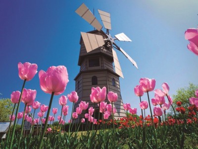 Việt Nam xuất siêu sang Hà Lan 2,4 tỷ USD