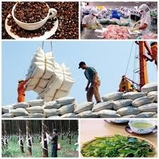 Kim ngạch xuất khẩu nông lâm thủy sản đạt hơn 20 tỷ USD trong 7 tháng