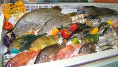 Nhập khẩu thủy sản vào Việt Nam tăng mạnh