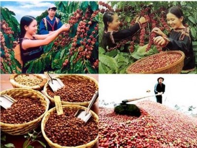 Kim ngạch xuất khẩu sang Algeria tăng 29% trong 7 tháng đầu năm