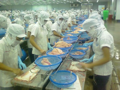 VASEP vừa lên tiếng phản đối về mức thuế DOC áp cho cá tra phi lê đông lạnh