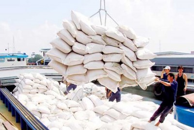 Xuất khẩu gạo sẽ thuận lợi hơn khi những quy định không phù hợp được bãi bỏ