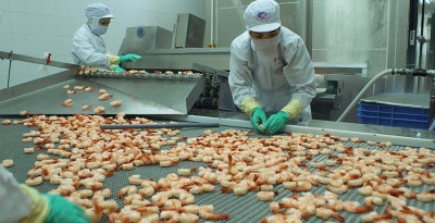 Australia nhập khẩu khá nhiều các sản phẩm tôm từ Việt Nam