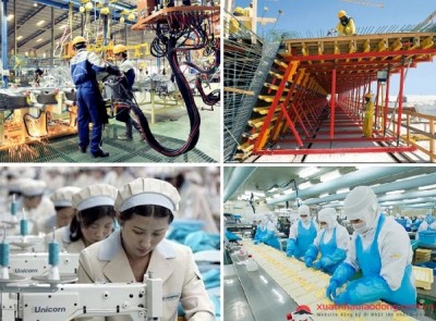 Doanh nghiệp xuất khẩu hoa quả sang Quảng Tây, Trung Quốc cần lưu ý