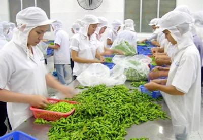 GDP ngành nông nghiệp ghi nhận mức tăng kỷ lục trong 13 năm qua