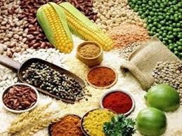 Kim ngạch nhập khẩu TĂCN & NL Việt Nam 7 tháng đầu năm 2018 tăng hơn 11%