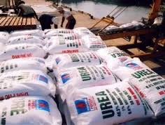 Xuất khẩu phân bón lấy lại đà tăng trưởng