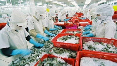 7 tháng đầu năm 2018, xuất khẩu thủy sản đạt 4,63 tỷ USD