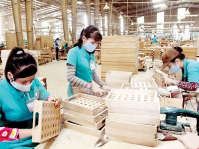 Tham gia Hiệp định VPA/FLEGT, Việt Nam có cách làm chuyên nghiệp hơn, công khai, minh bạch và phù hợp với các công ước, tiêu chuẩn của quốc tế. Ảnh: ST