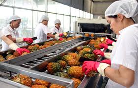 Trung Quốc vẫn là thị trường xuất khẩu chủ lực của rau quả Việt Nam Ảnh: Internet.