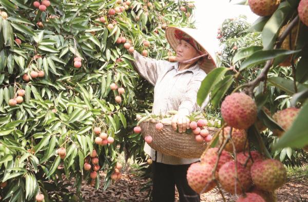 Xuất khẩu của Việt Nam vẫn phụ thuộc vào gia công nên giá trị gia tăng còn chưa cao. Ảnh: ST.