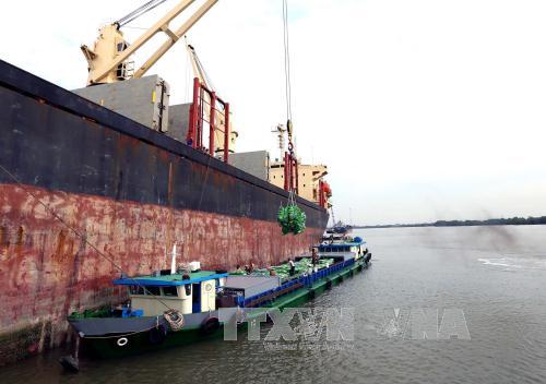 Bốc xếp gạo xuất khẩu tại cảng Sài Gòn. Ảnh: Vũ Sinh/TTXVN