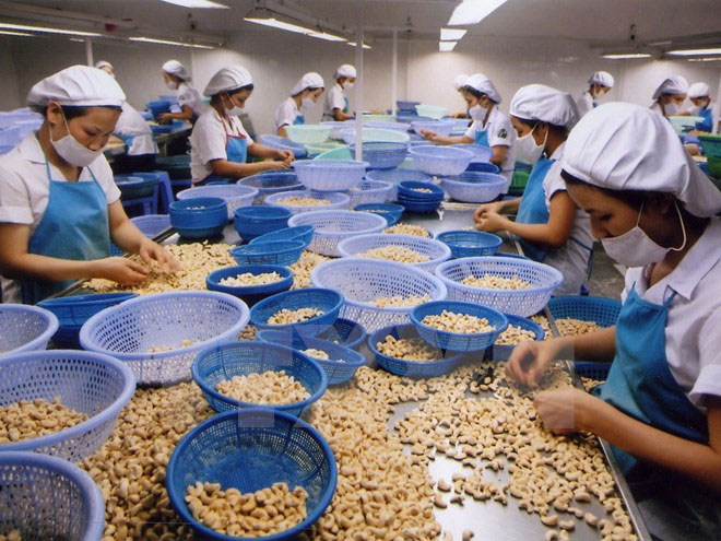 Nông sản là một trong những mặt hàng chủ yếu của Việt Nam xuất khẩu sang Hà Lan. Ảnh Internet