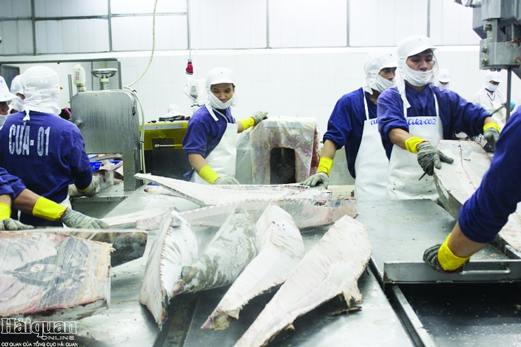 Mặt hàng cá ngừ XK vào ASEAN tăng mạnh Ảnh: T.H